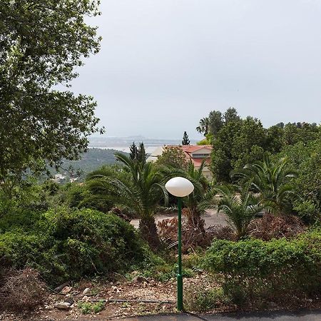 Nir Etzion Resort Ein Hod Dış mekan fotoğraf